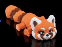Curious Red Panda